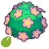 Adorable-hedge seeds