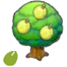 Aspear Seeds