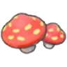 Cave mushrooms