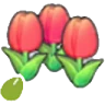 Cute-flower seeds