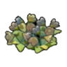 Dry wildflowers