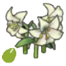 Elegant-flower seeds