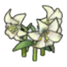 Elegant flower