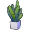 Flat-leaf plant