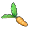 Fresh carrot