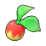 Leppa Berry