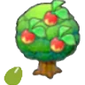 Leppa Seeds