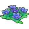 Mountain flowers