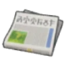 Newspaper
