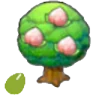 Pecha Seeds