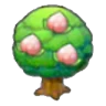 Pecha tree