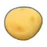 Potato