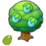 Rawst seeds