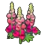 Robust flower