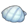 Seashell