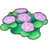 Seashore flowers