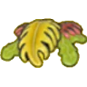 Seaweed