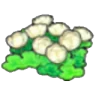 Skyland flowers
