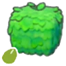 Square-plant seeds