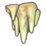 Stalactites