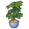 Tall potted plant