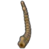 Tundra Fossil (tail)