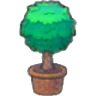 Twisted potted plant