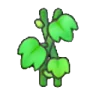 Vine