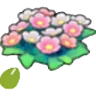Wildflower seeds