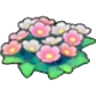 Wildflowers
