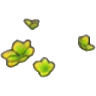 Yellow-green shoots