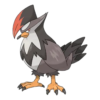 Staraptor